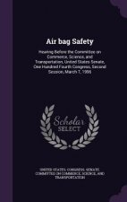 Air Bag Safety