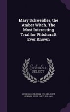 Mary Schweidler, the Amber Witch. the Most Interesting Trial for Witchcraft Ever Known