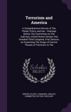 Terrorism and America