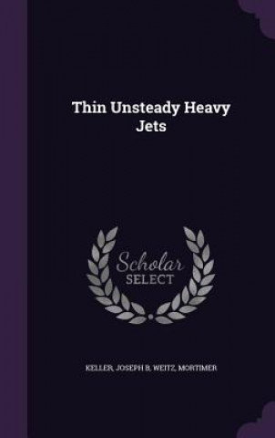 Thin Unsteady Heavy Jets