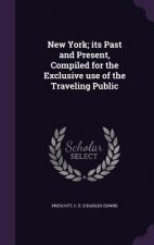 New York; Its Past and Present, Compiled for the Exclusive Use of the Traveling Public
