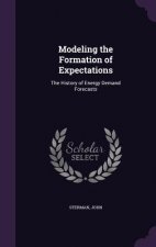 Modeling the Formation of Expectations