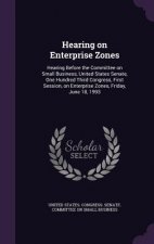 Hearing on Enterprise Zones
