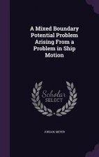 Mixed Boundary Potential Problem Arising from a Problem in Ship Motion