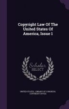 Copyright Law of the United States of America, Issue 1