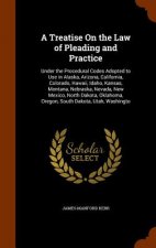 Treatise on the Law of Pleading and Practice