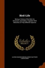 Bird-Life