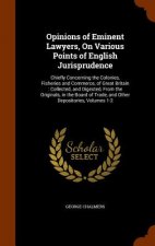 Opinions of Eminent Lawyers, on Various Points of English Jurisprudence