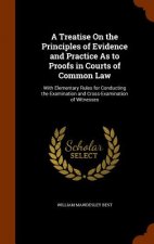 Treatise on the Principles of Evidence and Practice as to Proofs in Courts of Common Law