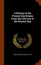 History of the Present Day Drama from the Civil War to the Present Day