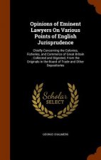 Opinions of Eminent Lawyers on Various Points of English Jurisprudence
