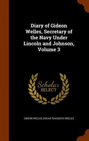 Diary of Gideon Welles, Secretary of the Navy Under Lincoln and Johnson, Volume 3