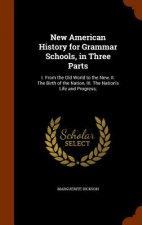New American History for Grammar Schools, in Three Parts