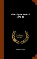 Afghan War of 1879-80