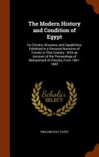 Modern History and Condition of Egypt