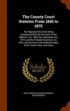 County Court Statutes from 1846 to 1875