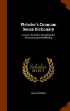 Webster's Common Sense Dictionary