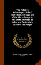 Relative Advantages of the 5 Feet 6 Inches Gauge and of the Metre Gauge for the State Railways of India, and Particularly Those of the Punjab