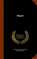 Report