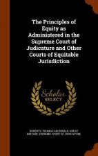 Principles of Equity as Administered in the Supreme Court of Judicature and Other Courts of Equitable Jurisdiction