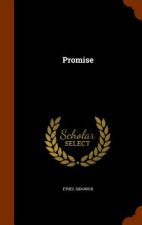 Promise