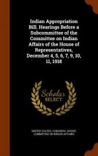 Indian Appropriation Bill. Hearings Before a Subcommittee of the Committee on Indian Affairs of the House of Representatives, December 4, 5, 6, 7, 9,