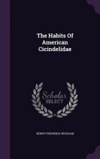 Habits of American Cicindelidae