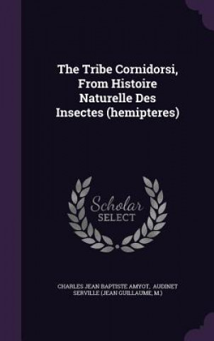 Tribe Cornidorsi, from Histoire Naturelle Des Insectes (Hemipteres)