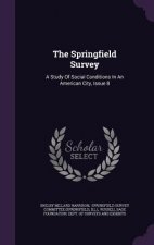 Springfield Survey