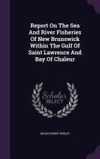 Report on the Sea and River Fisheries of New Brunswick Within the Gulf of Saint Lawrence and Bay of Chaleur