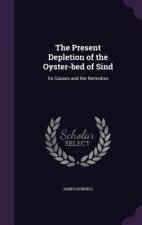 Present Depletion of the Oyster-Bed of Sind