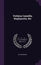Verbena Camellia Stephanotis, Etc