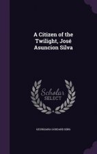 Citizen of the Twilight, Jose Asuncion Silva