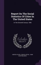 Report on the Social Statistics of Cities in the United States