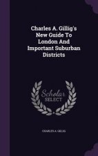 Charles A. Gillig's New Guide to London and Important Suburban Districts