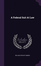 Federal Suit at Law