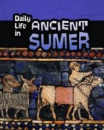 Daily Life in Ancient Civilizations Pack B of 4