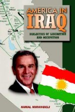 America In Iraq