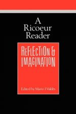 Ricoeur Reader