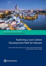 Exploring a low-carbon development path for Vietnam