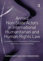 Armed Non-State Actors in International Humanitarian and Human Rights Law