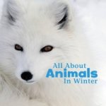 Celebrate Winter Pack A of 4
