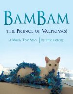 BamBam, the Prince of Valprivas!