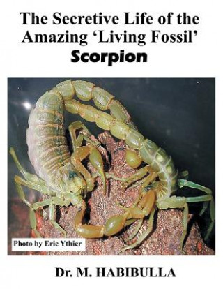 Secretive Life of the Amazing 'Living Fossil' Scorpion