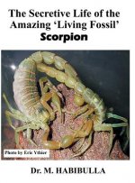 Secretive Life of the Amazing 'Living Fossil' Scorpion