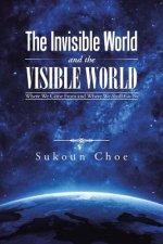 Invisible World and the Visible World