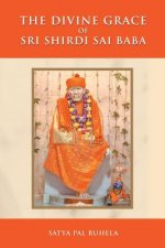 Divine Grace of Sri Shirdi Sai Baba