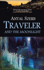 Traveler and the Moonlight