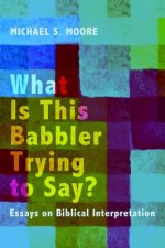 What Is This Babbler Trying to Say?