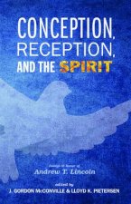 Conception, Reception, and the Spirit